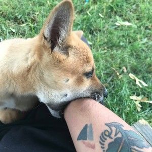 Meet your Posher, Matt